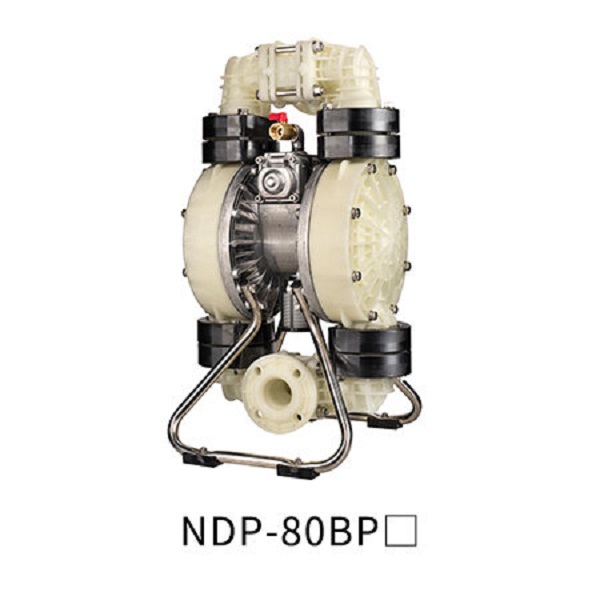 PP.jpg